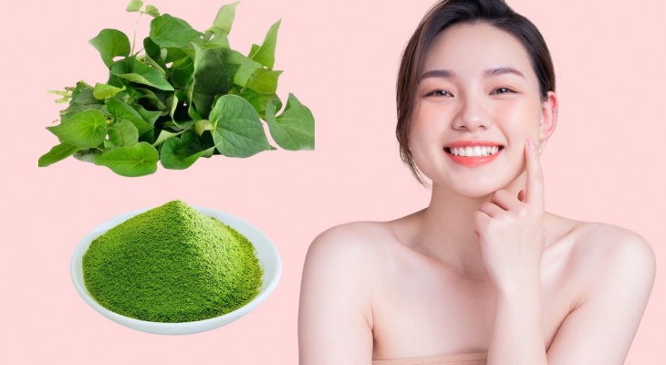 CÔNG DỤNG TUYỆT VỜI TỪ LÁ DIẾP CÁ